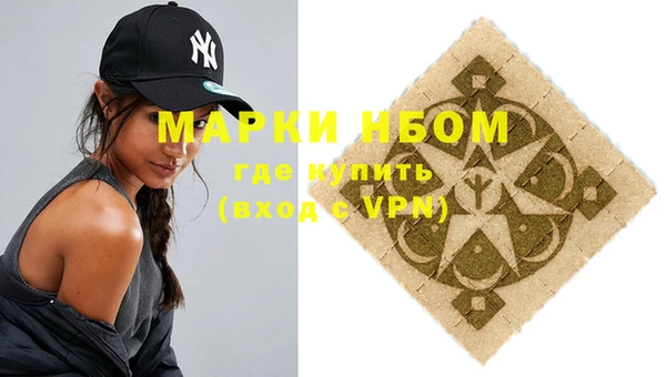 молекула духа Ладушкин