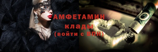 молекула духа Ладушкин