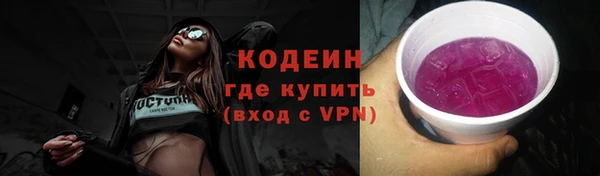 молекула духа Ладушкин