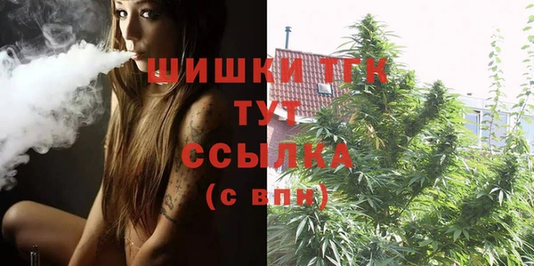 молекула духа Ладушкин