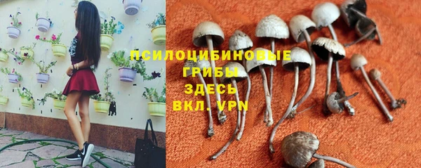 прущие крисы Лагань