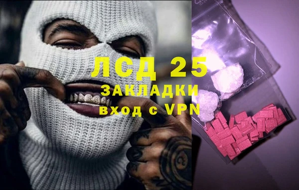 молекула духа Ладушкин