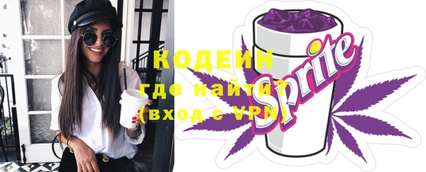 молекула духа Ладушкин