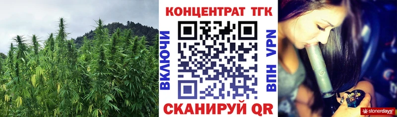 Купить закладки  Дорогобуж  ТГК Wax 