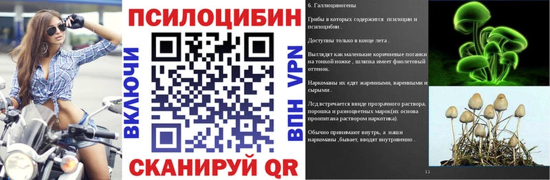 Галлюциногенные грибы Psilocybe  Купить закладки  Дорогобуж 